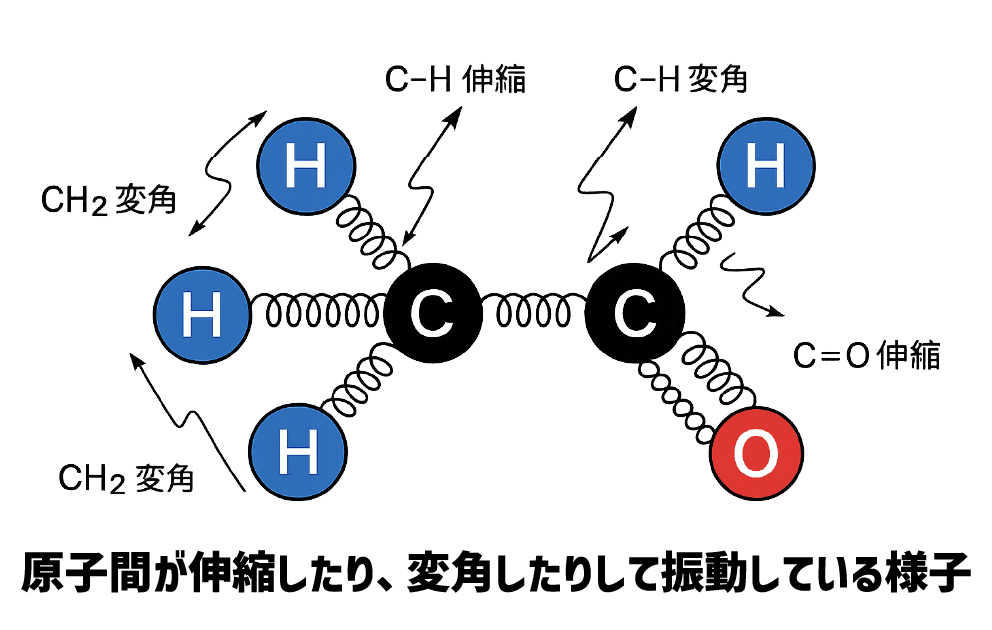 分子振動のイメージ図